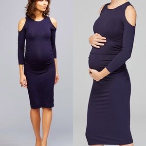 Isabella Oliver Anneli Maternity Dress